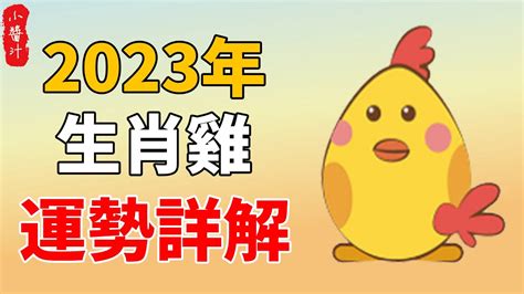 1957屬雞2023運勢|麥玲玲屬雞2023年運勢及運程 2023年生肖雞的人每月運程詳解